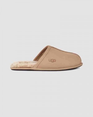 Pantuflas UGG Scuff Hombre Marrones | COF8671D