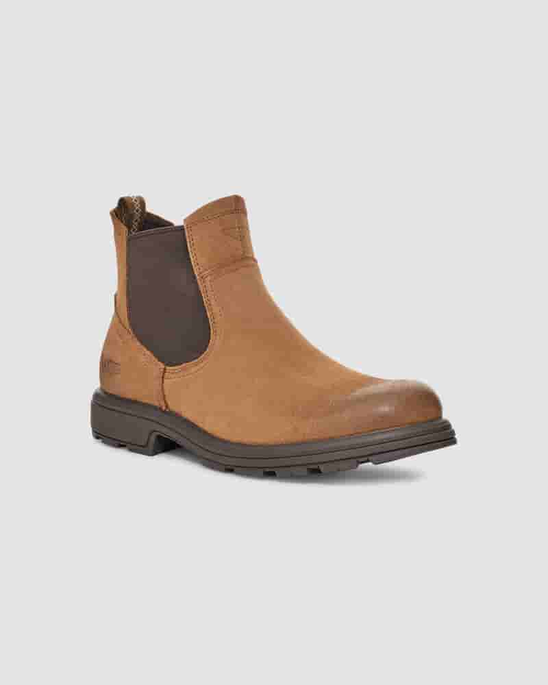 Botas UGG Biltmore Chelsea Hombre Marrones | COQ8633M