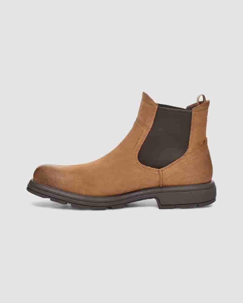 Botas UGG Biltmore Chelsea Hombre Marrones | COQ8633M