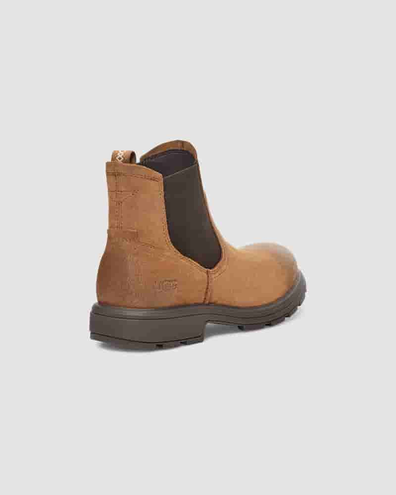 Botas UGG Biltmore Chelsea Hombre Marrones | COQ8633M