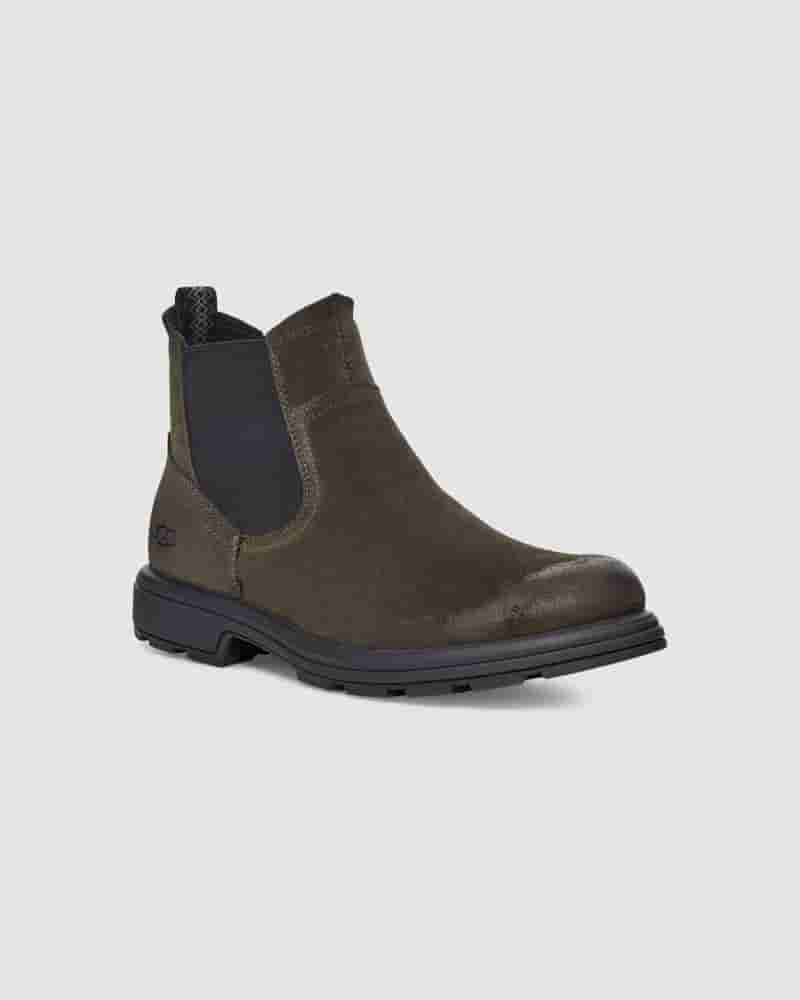 Botas UGG Biltmore Chelsea Hombre Verde Oliva Oscuro | COW8634N