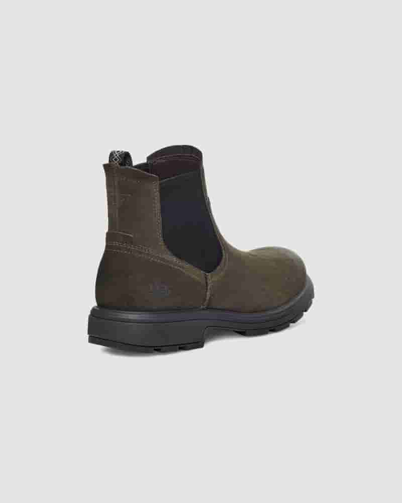 Botas UGG Biltmore Chelsea Hombre Verde Oliva Oscuro | COW8634N