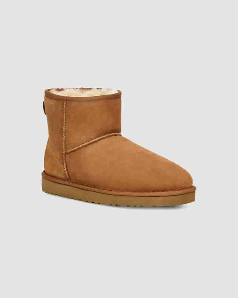 Botas UGG Classic Mini Hombre Marrones | COW8631N