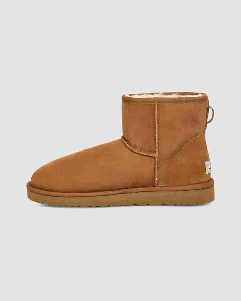 Botas UGG Classic Mini Hombre Marrones | COW8631N