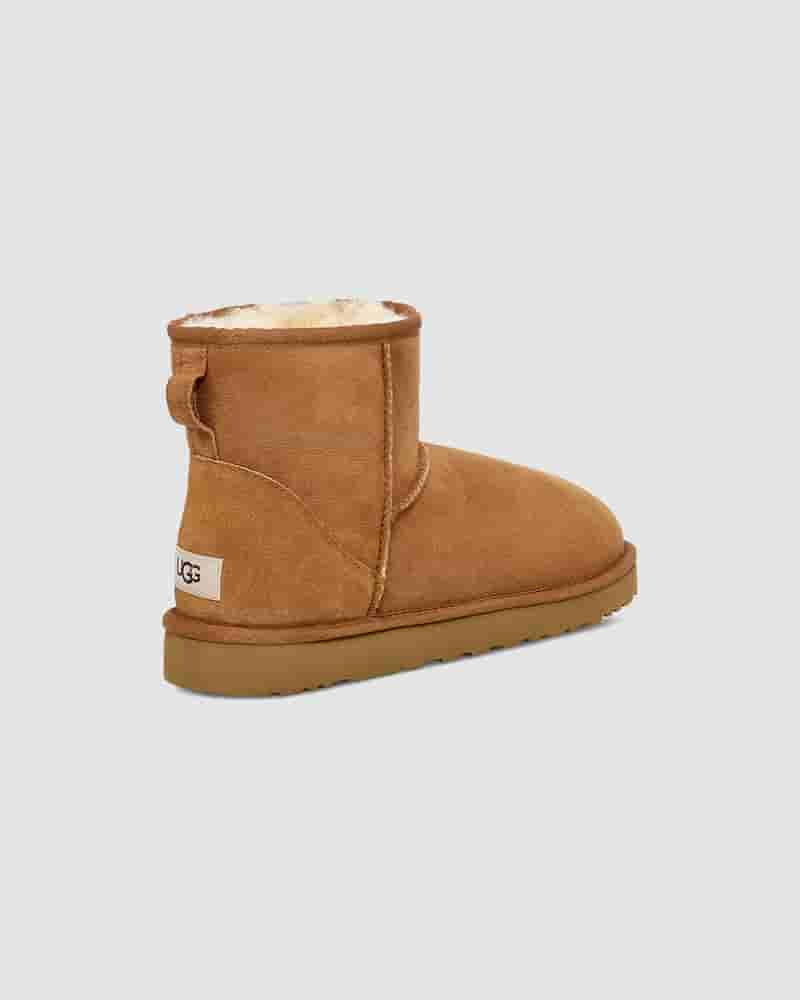 Botas UGG Classic Mini Hombre Marrones | COW8631N