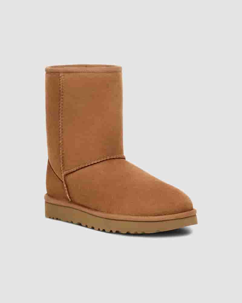 Botas UGG Classic Short Hombre Marrones | COR8636V