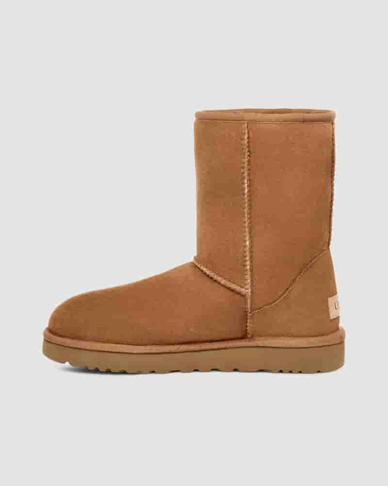 Botas UGG Classic Short Hombre Marrones | COR8636V