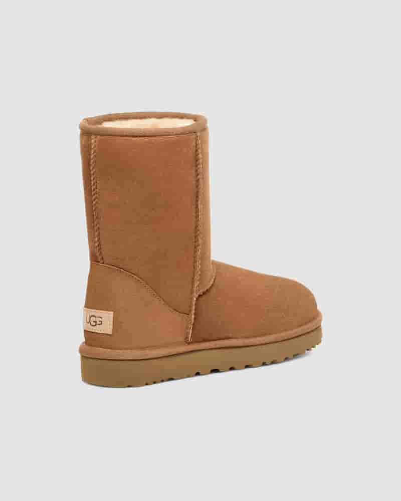 Botas UGG Classic Short Hombre Marrones | COR8636V