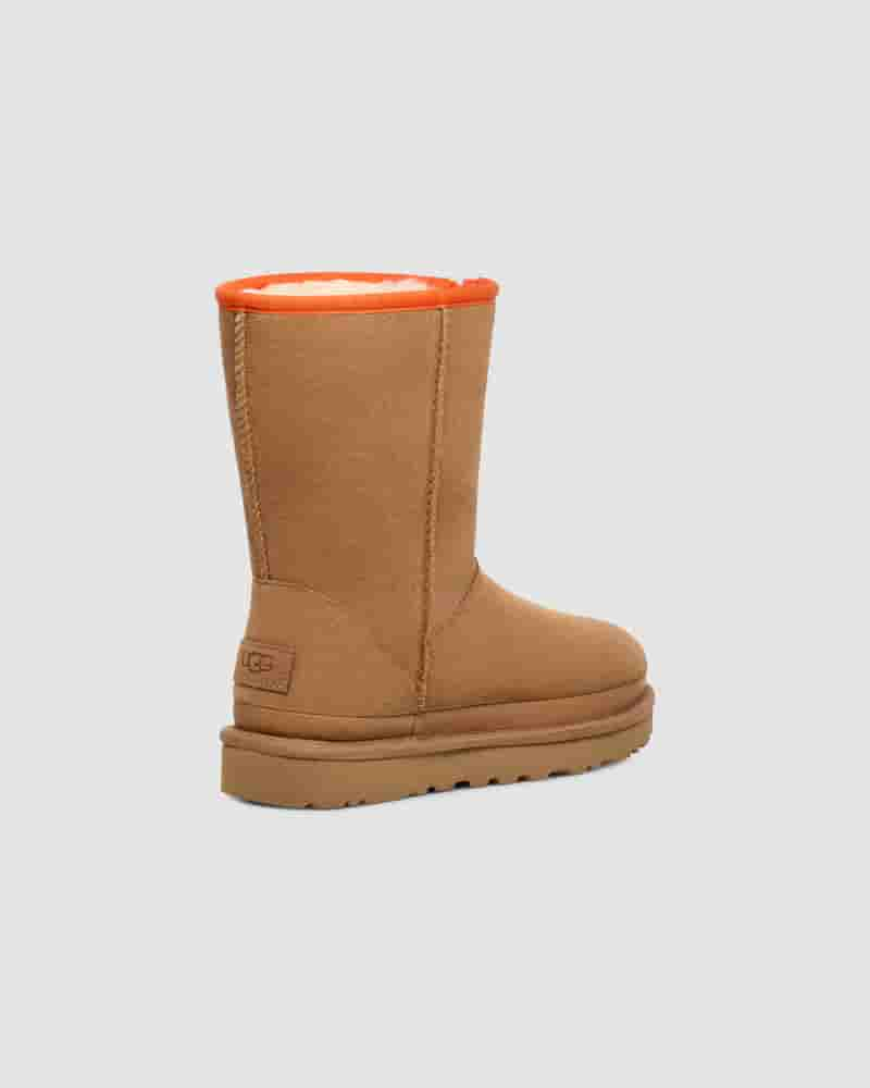 Botas UGG Classic Short Zipper Tape Logo Mujer Marrones | COA8539H