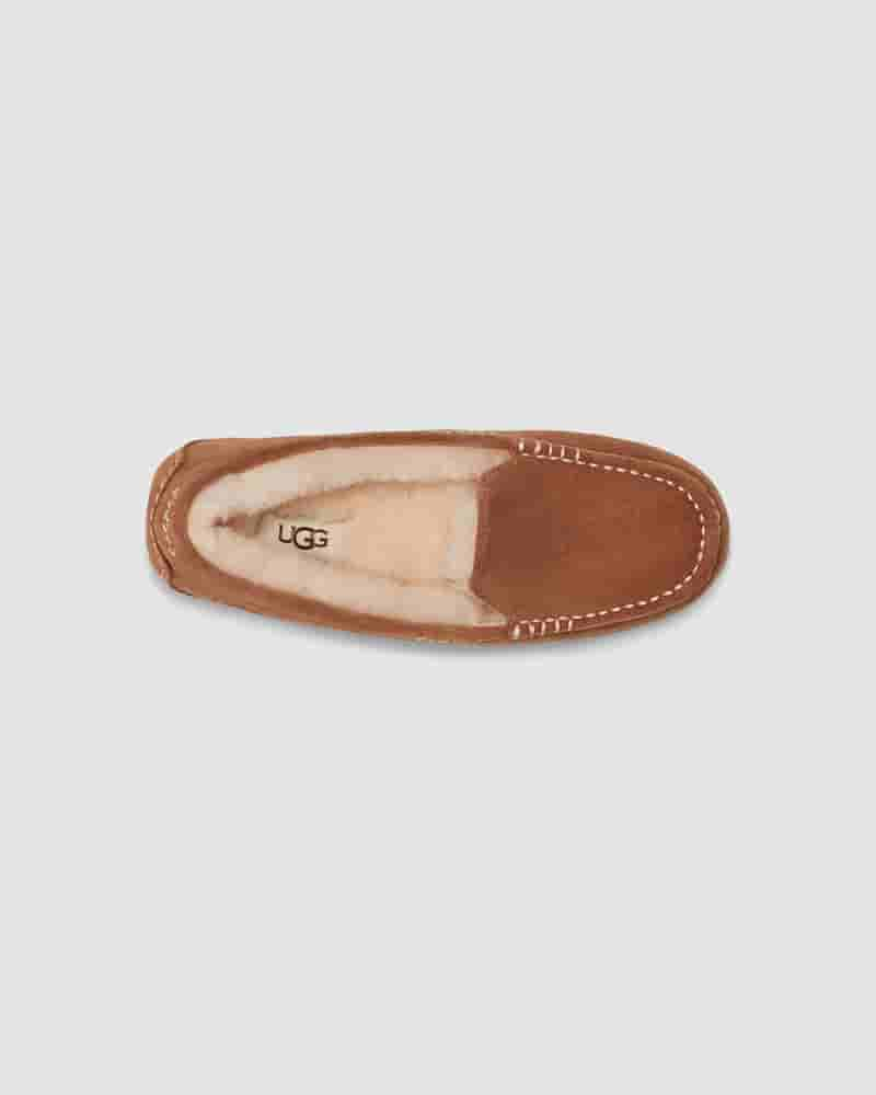 Pantuflas UGG Ansley Mujer Cafe | COF8619D