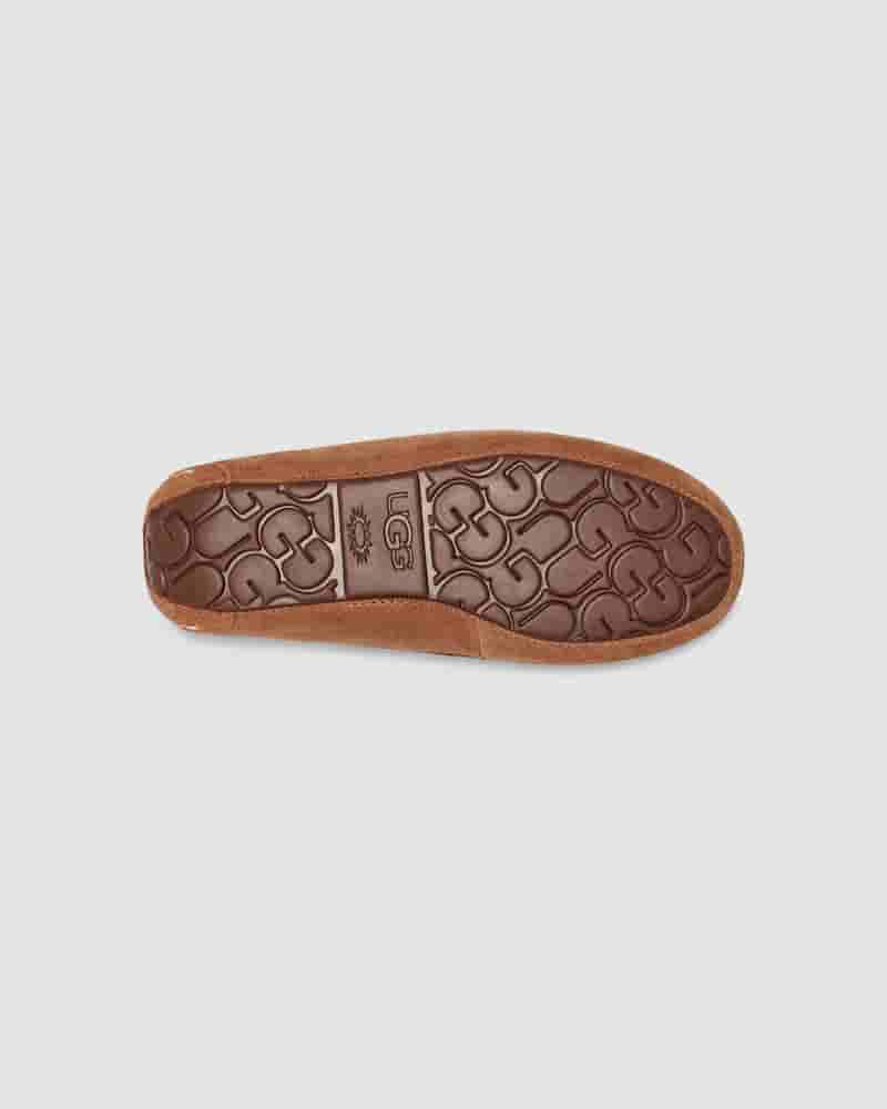 Pantuflas UGG Ansley Mujer Cafe | COF8619D