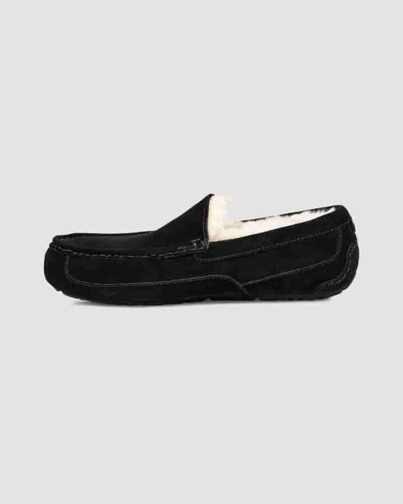 Pantuflas UGG Ascot Hombre Negras | COL8666I