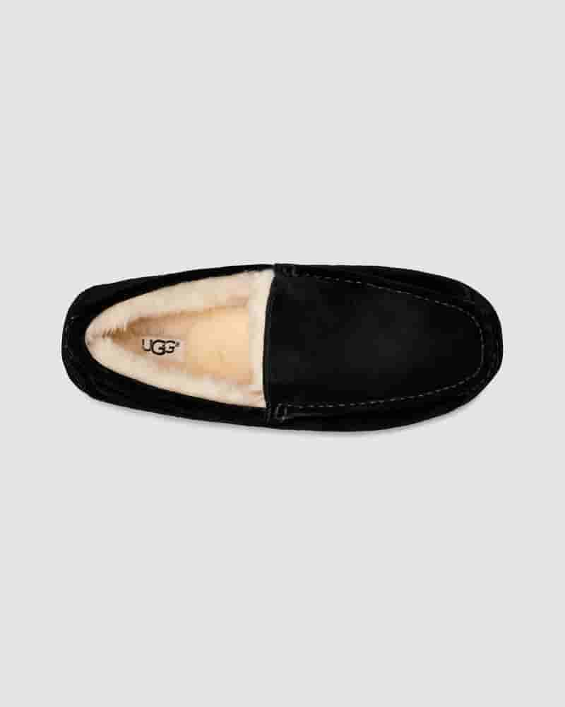 Pantuflas UGG Ascot Hombre Negras | COL8666I