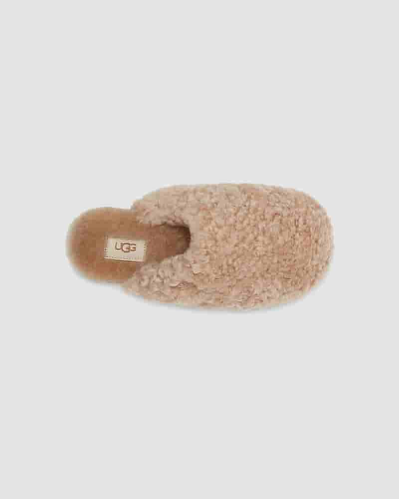 Pantuflas UGG Maxi Curly Slide Mujer Marrones | COM8607Q