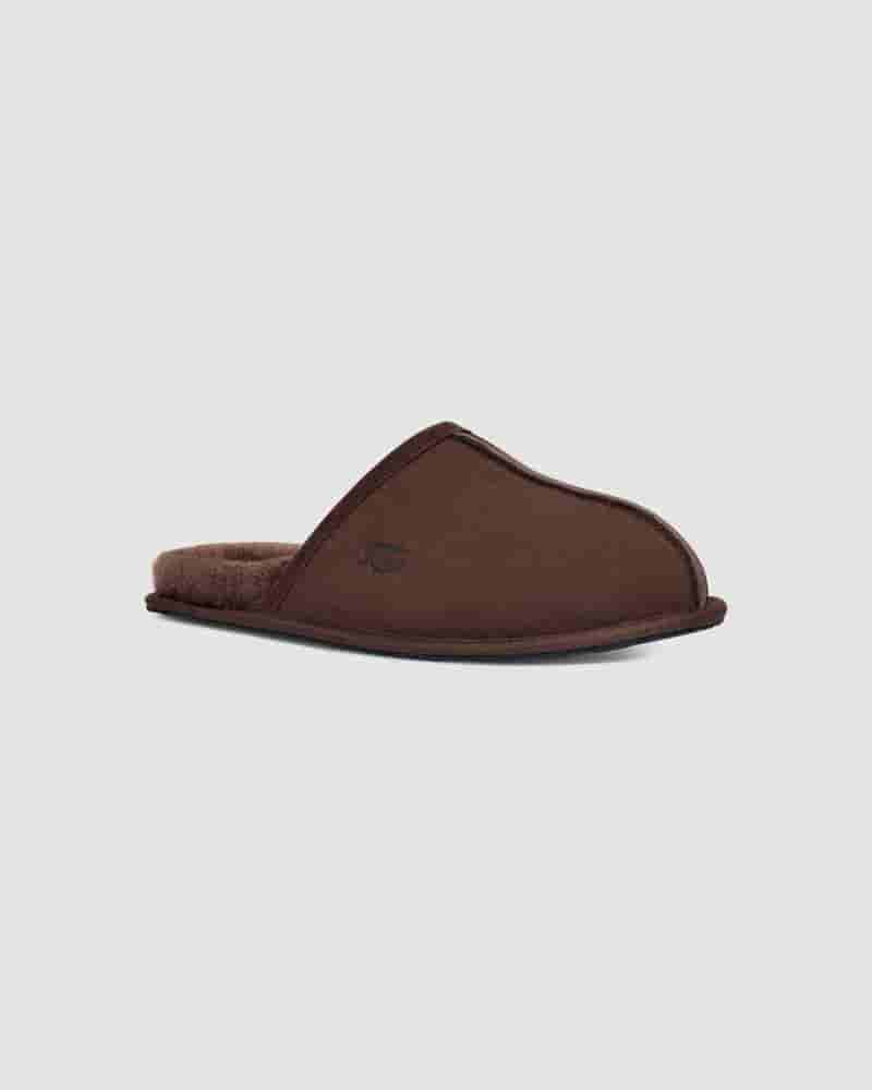 Pantuflas UGG Scuff Hombre Cafe | COG8670S