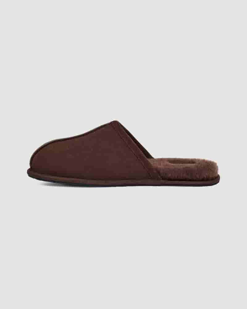 Pantuflas UGG Scuff Hombre Cafe | COG8670S