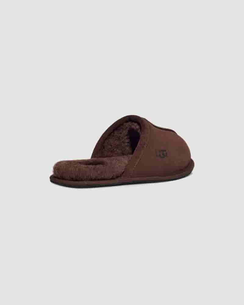 Pantuflas UGG Scuff Hombre Cafe | COG8670S