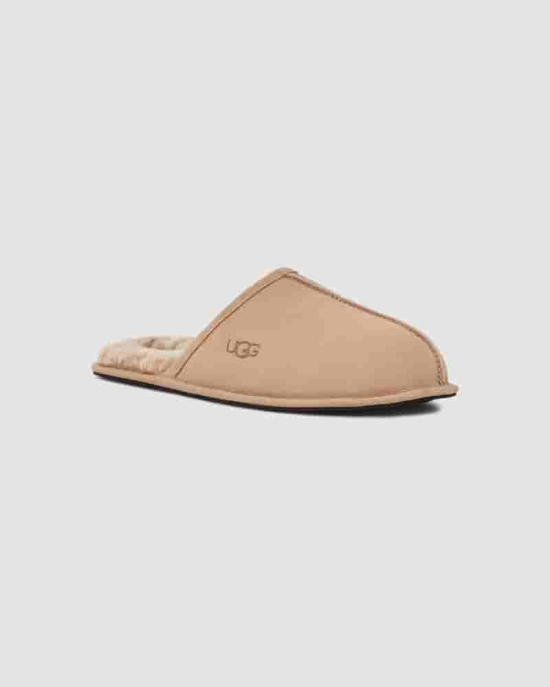 Pantuflas UGG Scuff Hombre Marrones | COF8671D