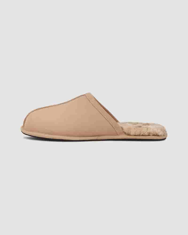 Pantuflas UGG Scuff Hombre Marrones | COF8671D