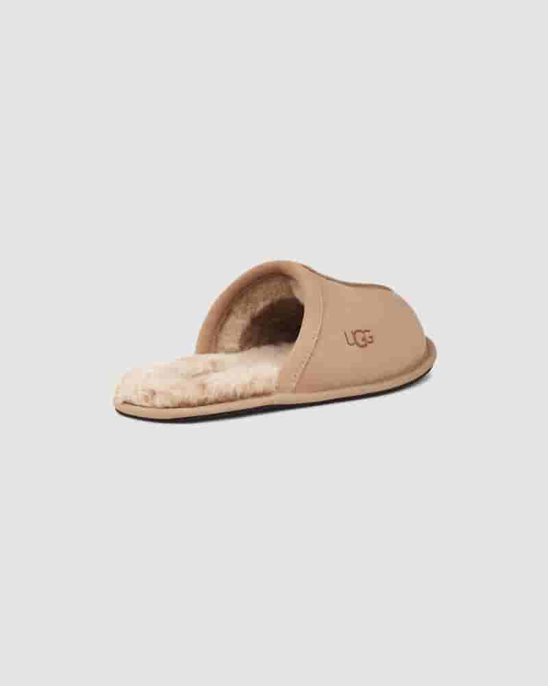 Pantuflas UGG Scuff Hombre Marrones | COF8671D