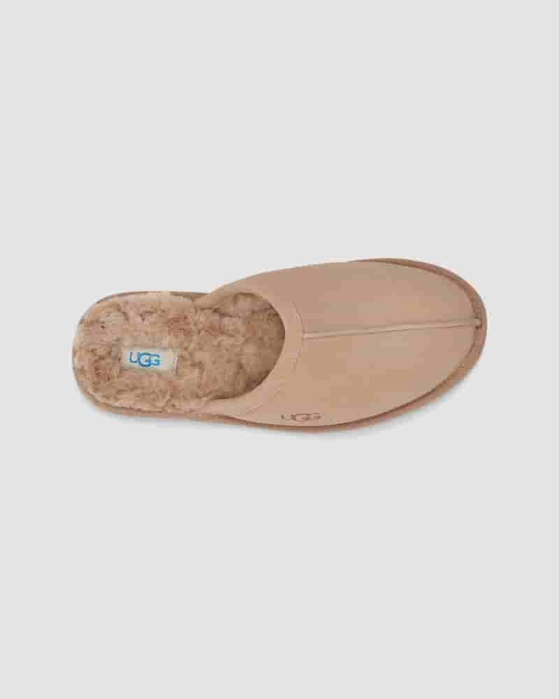 Pantuflas UGG Scuff Hombre Marrones | COF8671D