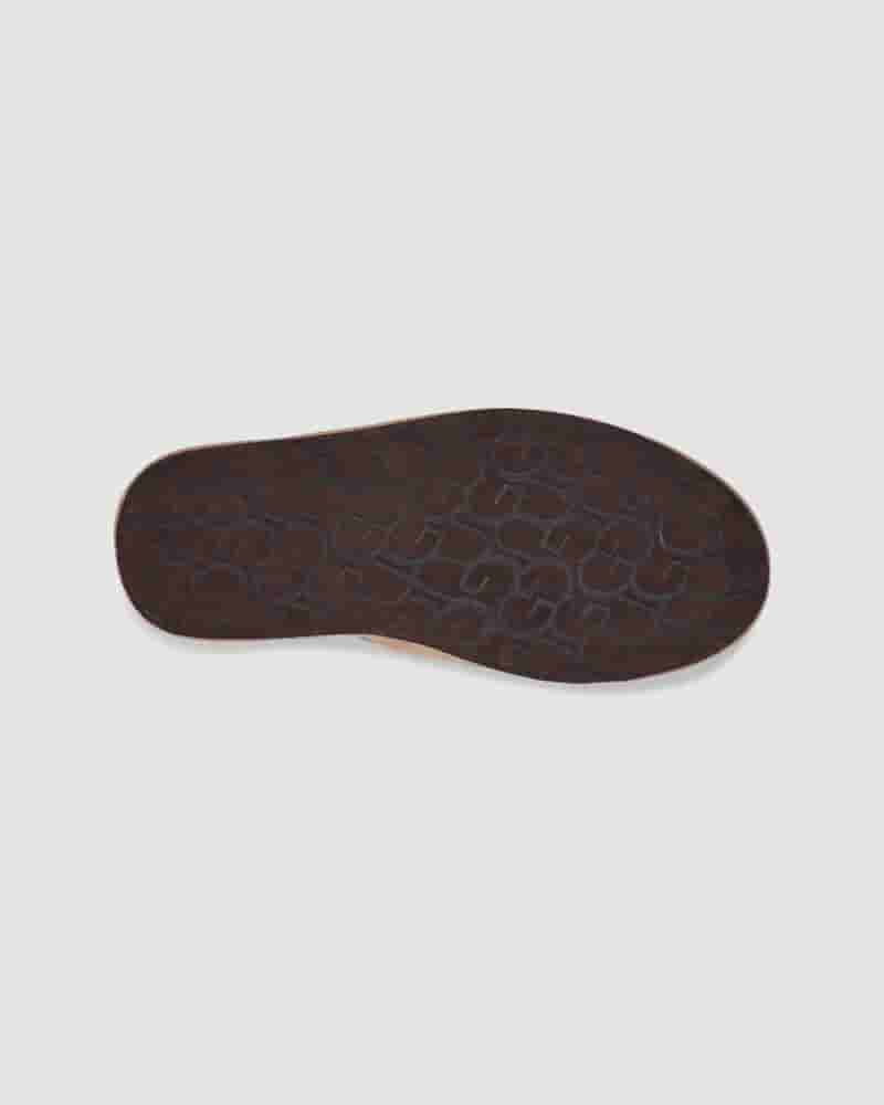 Pantuflas UGG Scuff Hombre Marrones | COF8671D