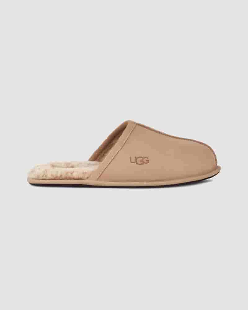 Pantuflas UGG Scuff Hombre Marrones | COF8671D