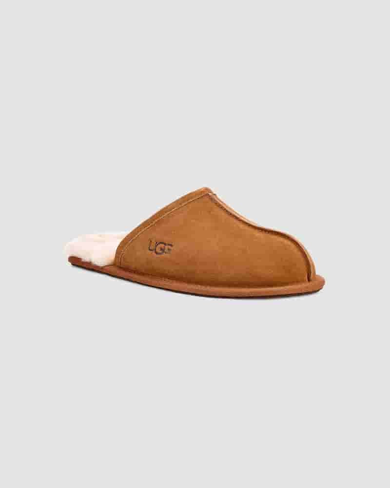 Pantuflas UGG Scuff Hombre Marrones | COJ8668P