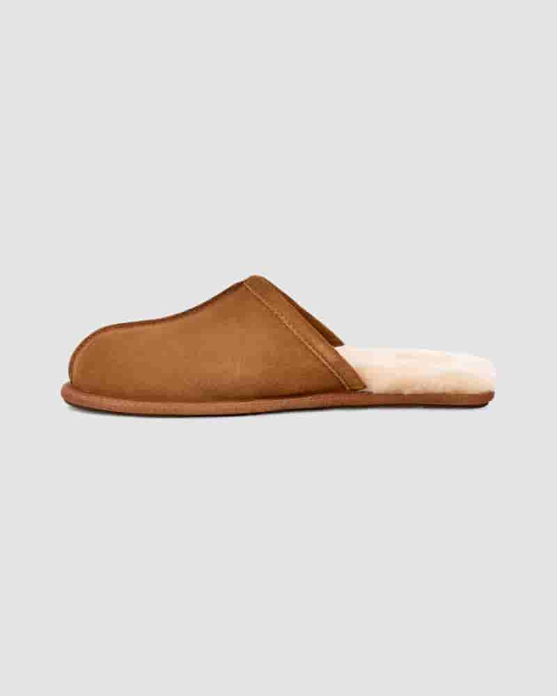 Pantuflas UGG Scuff Hombre Marrones | COJ8668P