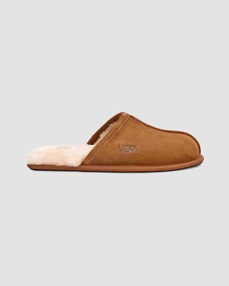 Pantuflas UGG Scuff Hombre Marrones | COJ8668P