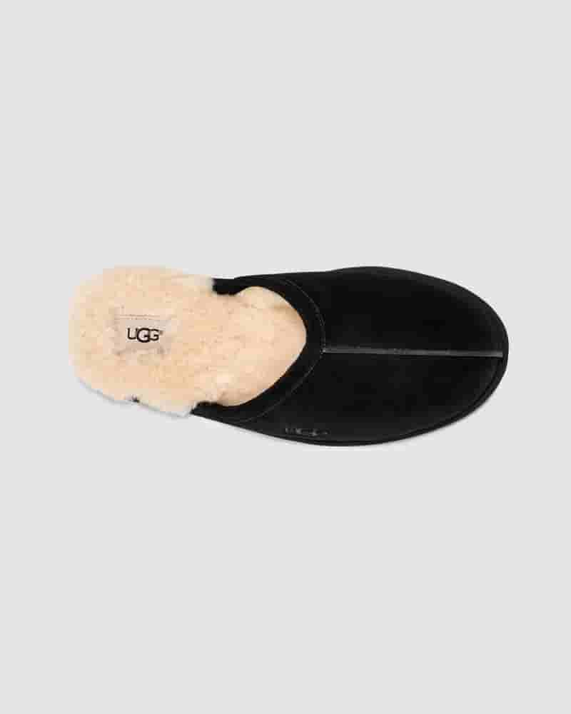 Pantuflas UGG Scuff Hombre Negras | COH8669A