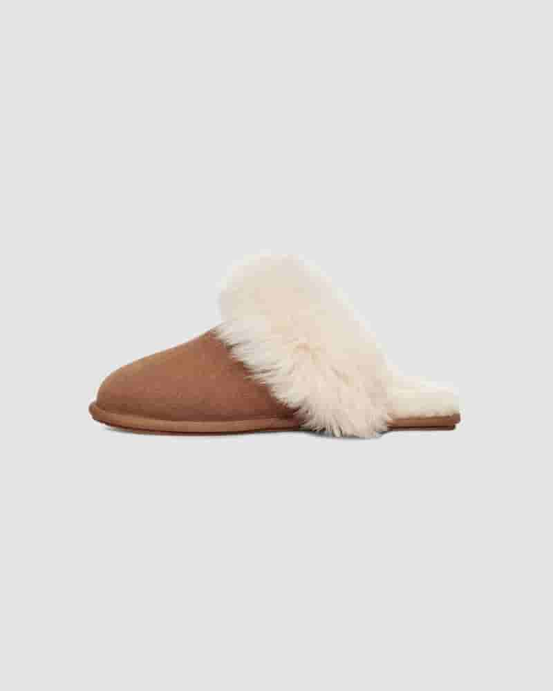 Pantuflas UGG Scuff Sis Mujer Marrones | COC8602T