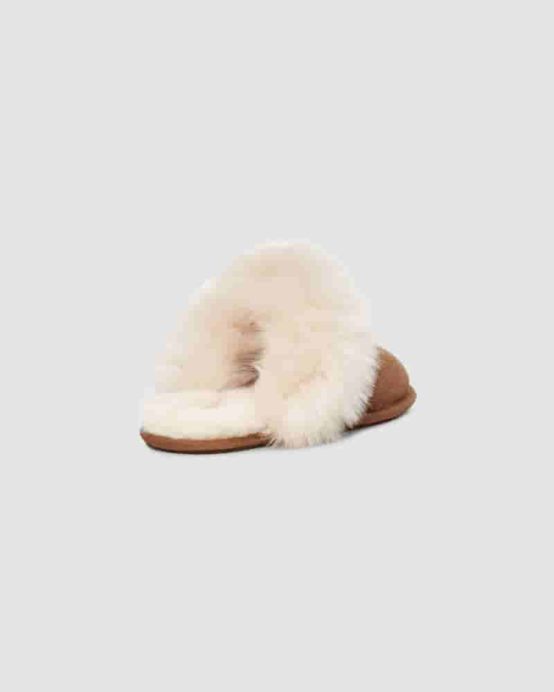 Pantuflas UGG Scuff Sis Mujer Marrones | COC8602T