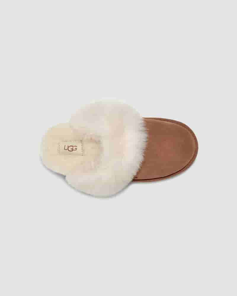 Pantuflas UGG Scuff Sis Mujer Marrones | COC8602T