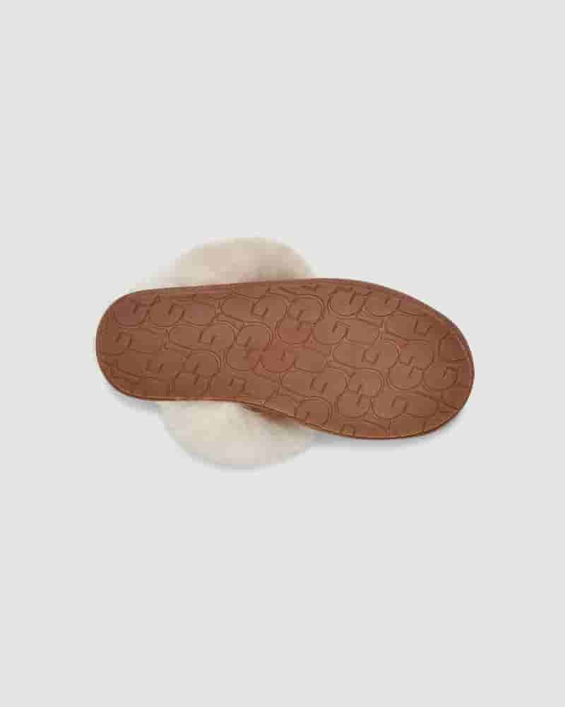 Pantuflas UGG Scuff Sis Mujer Marrones | COC8602T