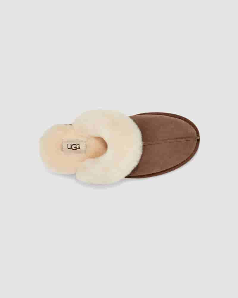 Pantuflas UGG Scuffette II Mujer Chocolate | COA8591H