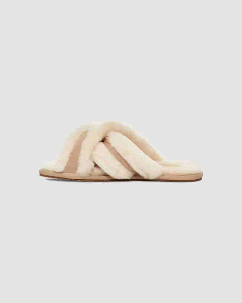 Pantuflas UGG Scuffita Mujer Marrones | COO8589K