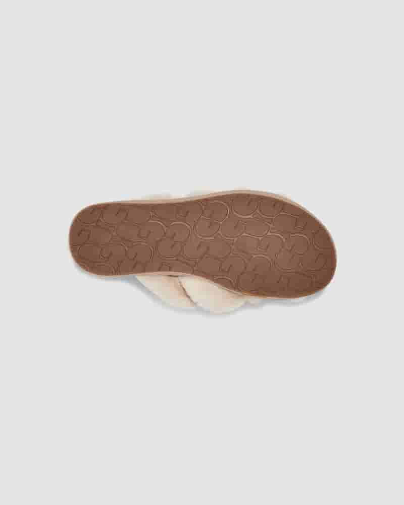 Pantuflas UGG Scuffita Mujer Marrones | COO8589K