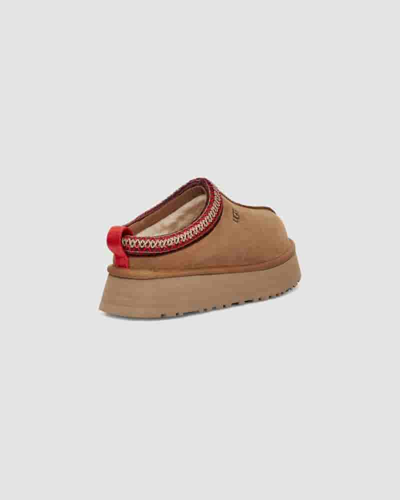 Pantuflas UGG Tazz Mujer Cafe | COW8579N