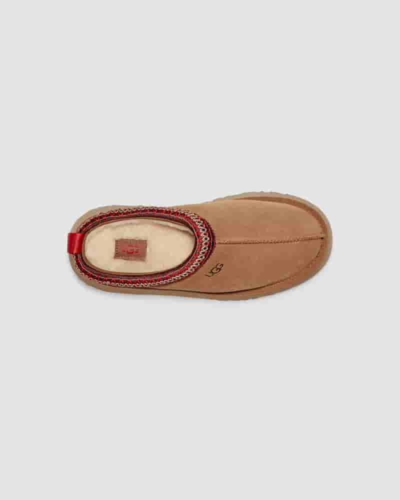 Pantuflas UGG Tazz Mujer Cafe | COW8579N