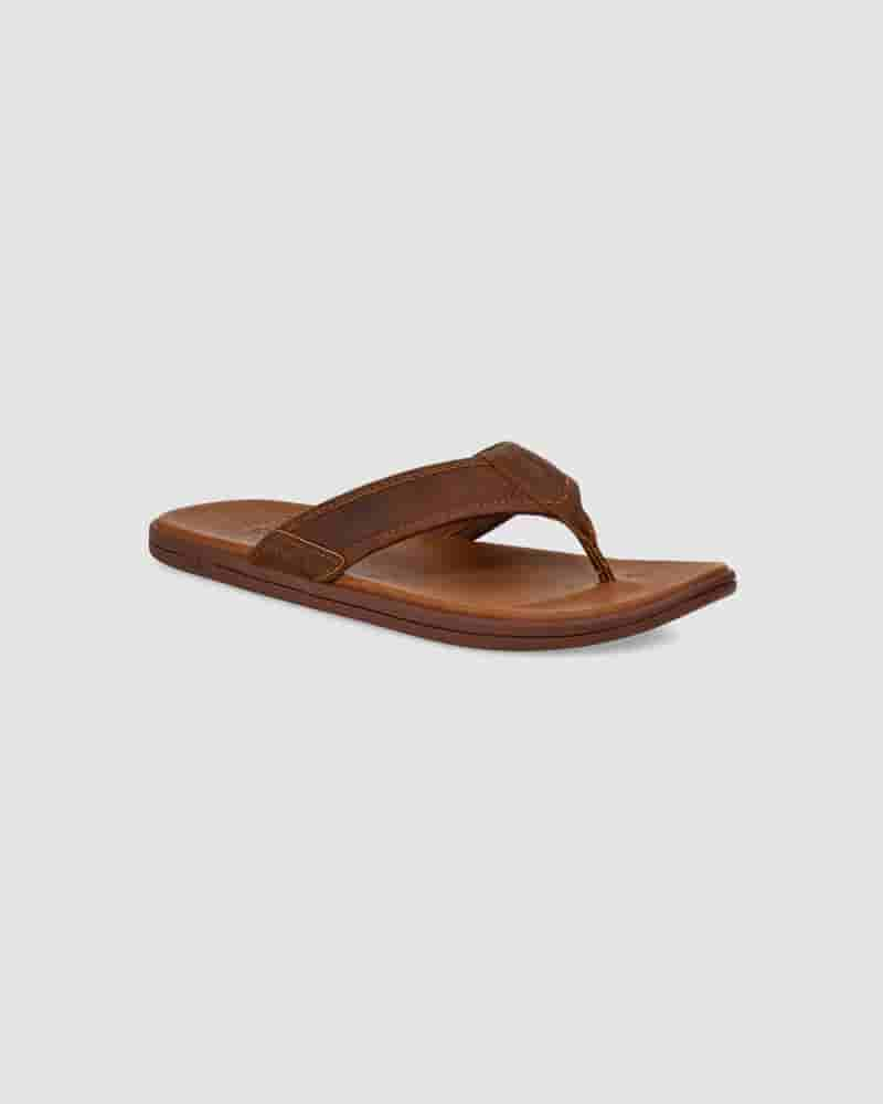 Sandalias UGG Seaside Leather Flip Flop Hombre Cafe | COC8654T