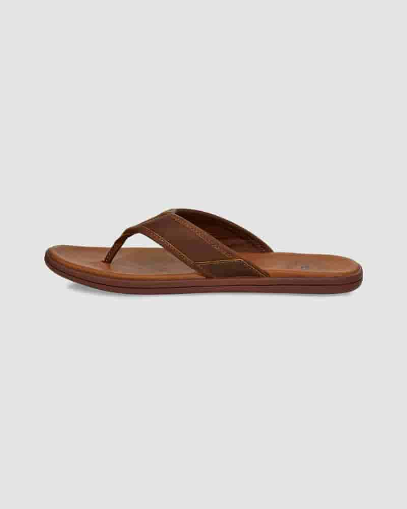 Sandalias UGG Seaside Leather Flip Flop Hombre Cafe | COC8654T