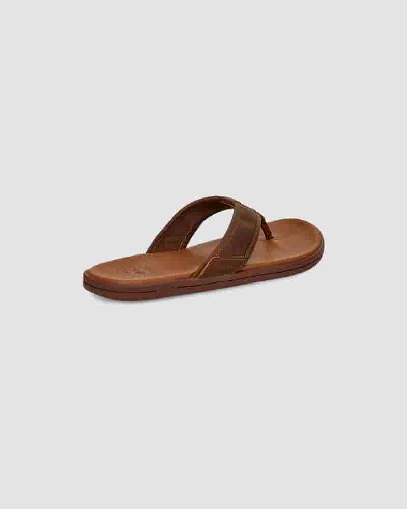 Sandalias UGG Seaside Leather Flip Flop Hombre Cafe | COC8654T