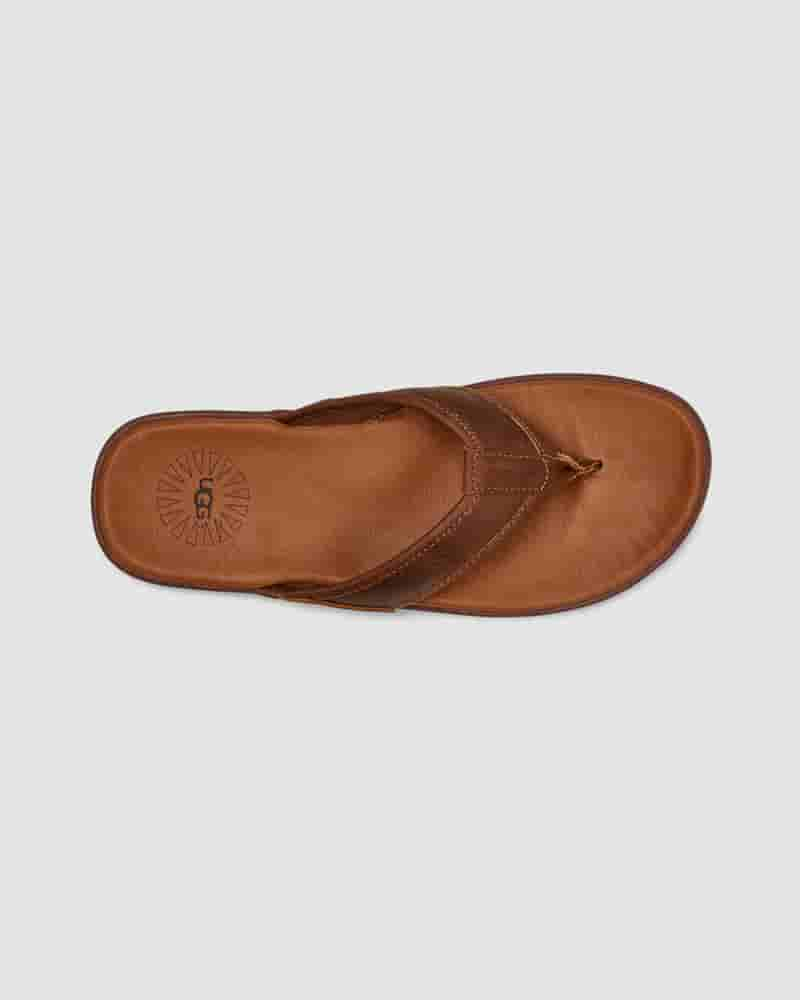 Sandalias UGG Seaside Leather Flip Flop Hombre Cafe | COC8654T