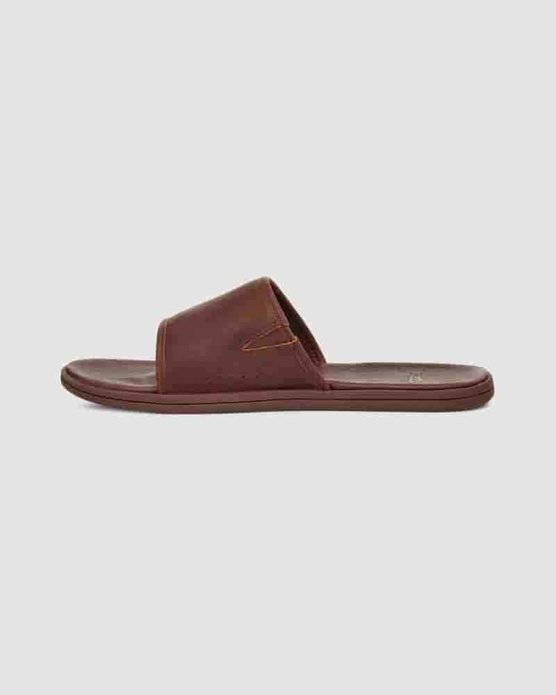 Sandalias UGG Seaside Slide Hombre Cafe | CON8657W